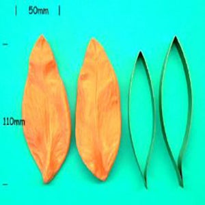 Casablanca Lily Cutter and Veiner