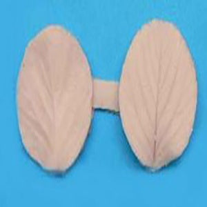 Strawberry Leaf Veiner