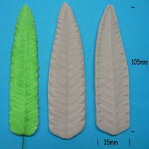 Fern Leaf Veiner