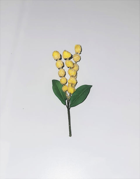 Wattle Sugar Flower