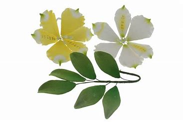 Alstroemeria Petal Tin Cutters 2 Piece