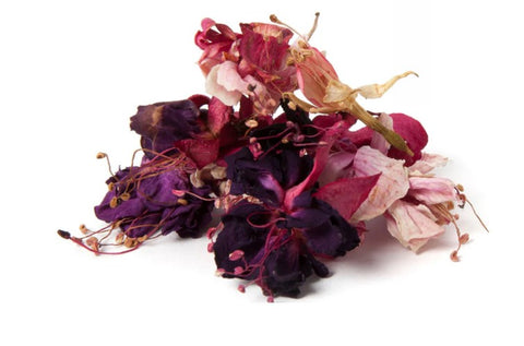 Petite Ingredient Australian Dried Edible Fuchsia