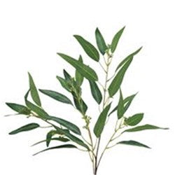 Artificial Eucalyptus Leaves