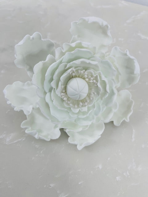 Sugar Flower  - White Peony Flower Large 12cm