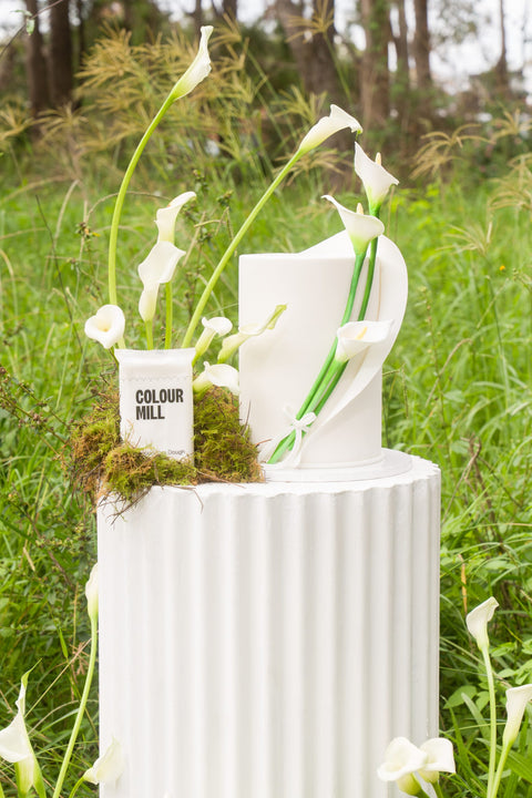 DECORATORS DOUGH WHITE 250G