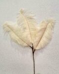 Artificial Ostrich Feathers