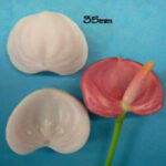 Silicone Mould - Tiny Anthurium Veiner
