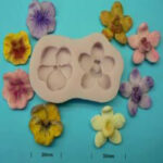 Orchid and Pansy Mould
