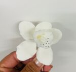 Sugar Flower - Orchid 60mm